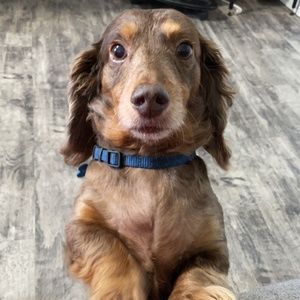 Meet your Posher, JayKay